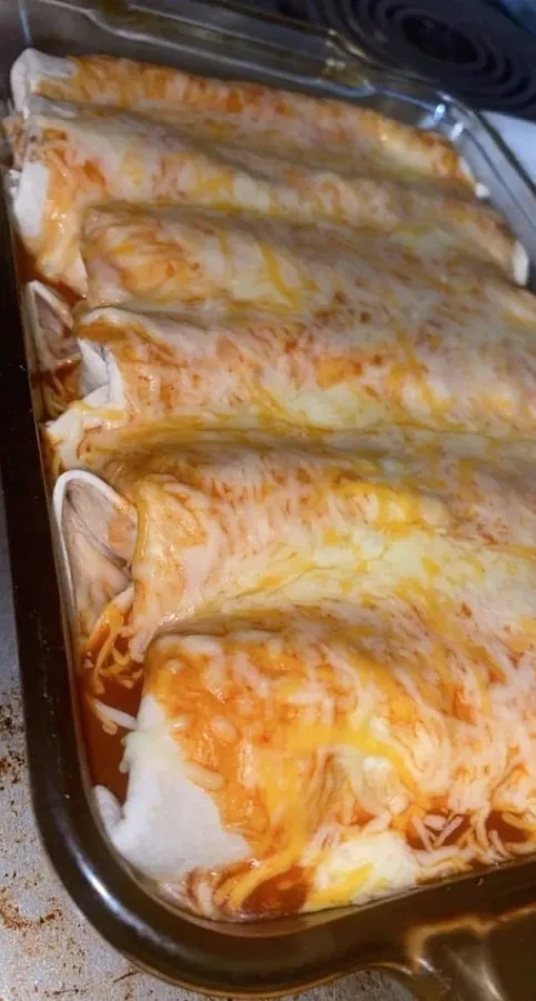 Chicken Enchiladas with Sour Cream White Sauce