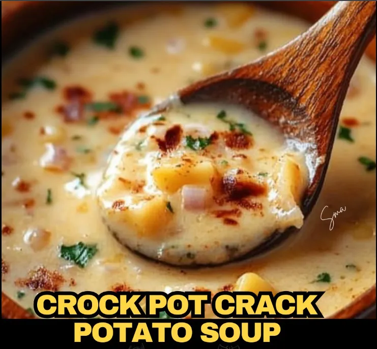 CROCK POT CRACK POTATO SOUP